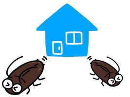 ゴキブリが活発になる季節 遭遇しない家の5つの条件とは
