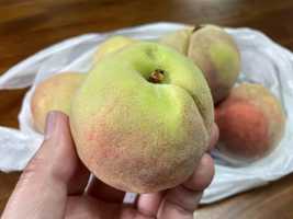 違反トラックが売ってた桃を盗難地域の農家に見てもらった結果「盗まれた桃の可能性高い」