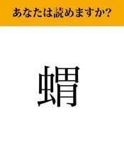 【難読漢字】「蝟」って読めますか？可愛らしい見た目で人気のあの動物です！