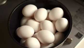 茹でないゆで卵に驚き! 11月の「裏ワザ」人気記事を発表【月間ランキングTOP5】