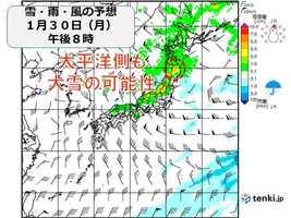 あす30日は低気圧が東北地方を通過 日本海側だけでなく太平洋側も大雪の可能性
