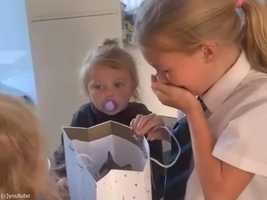 「紙袋を開けたら子猫！」サプライズプレゼントに感極まる女の子(動画)