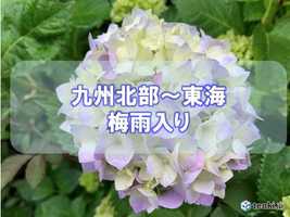九州北部~東海地方が梅雨入り 近畿・東海地方では「5月の梅雨入り」は10年ぶり