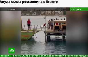 父親の目前で起きたサメの激しい攻撃 23歳ロシア人男性、為す術もなく死亡(エジプト)＜動画あり＞
